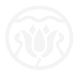 light logo